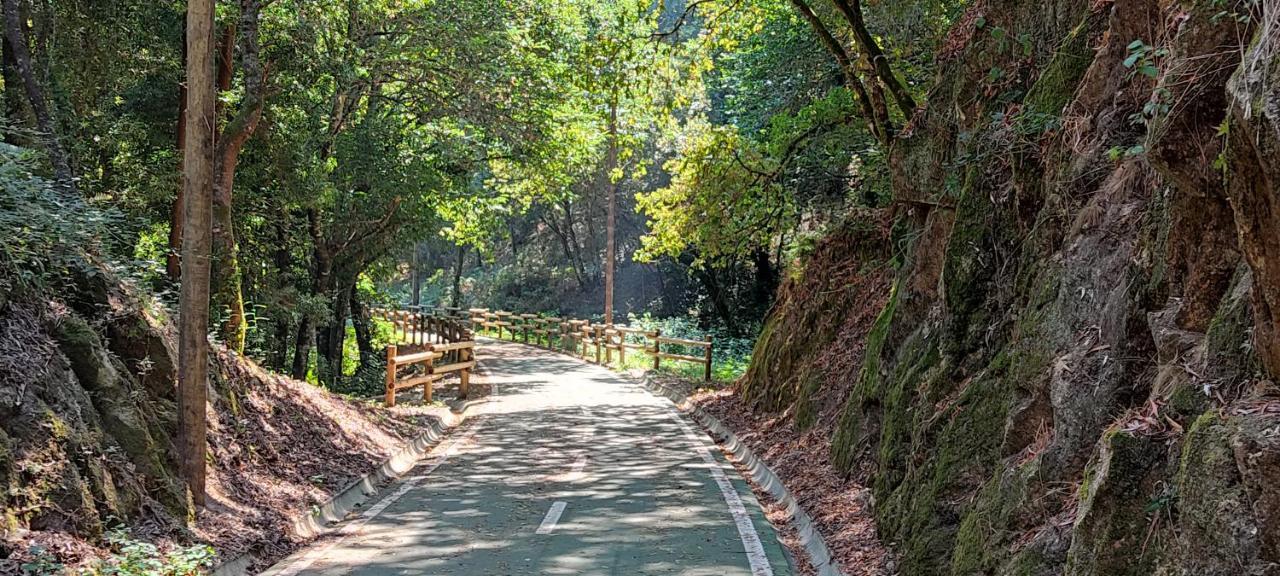 Casa Dos Avos Villa Vouzela Kültér fotó